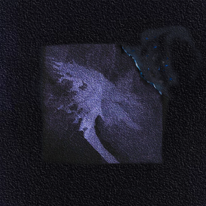 唐舞桐裸体被❌羞羞网站下载
